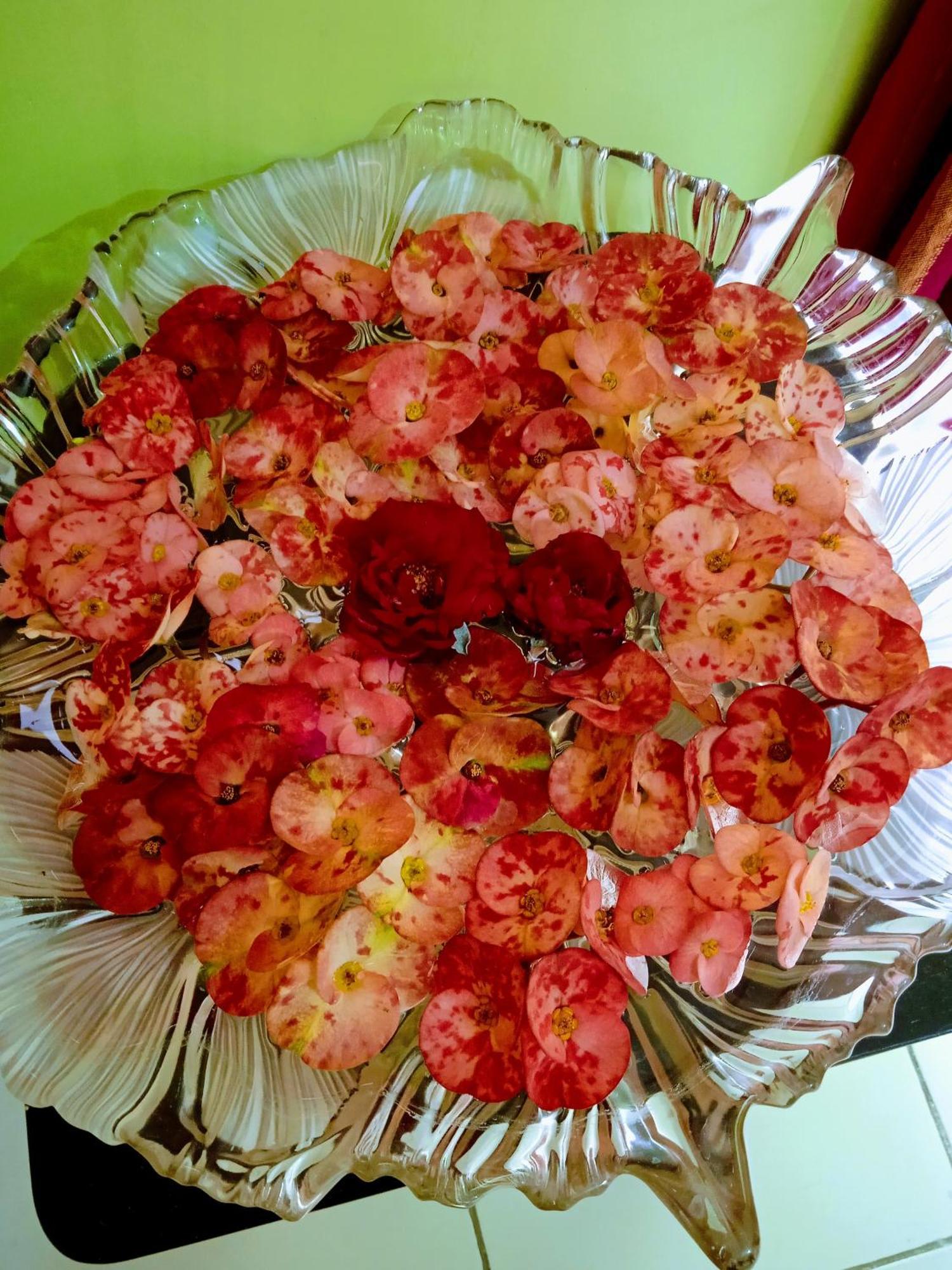 בולפור Bhoboghure Homestay Santiniketan מראה חיצוני תמונה