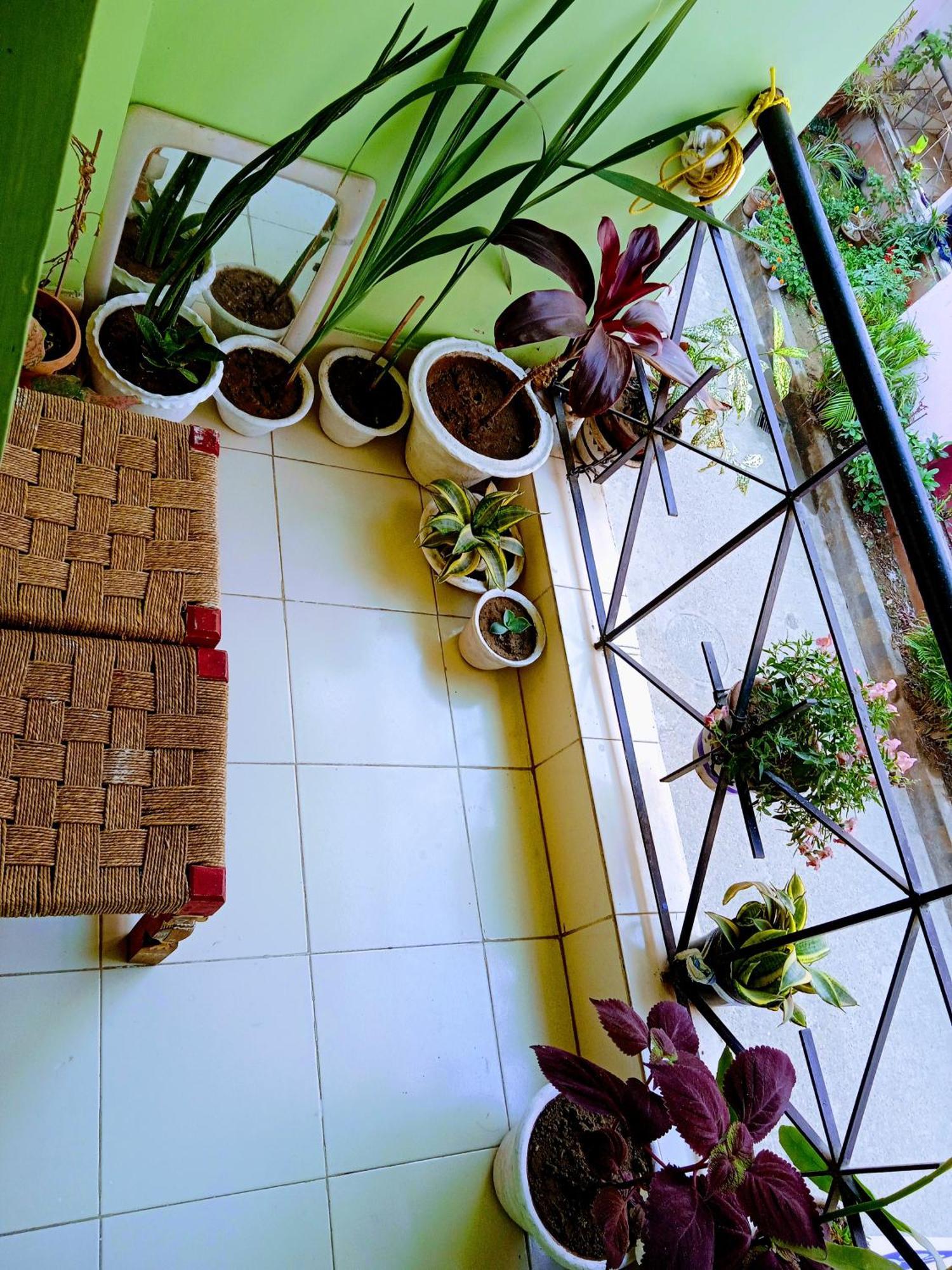 בולפור Bhoboghure Homestay Santiniketan מראה חיצוני תמונה